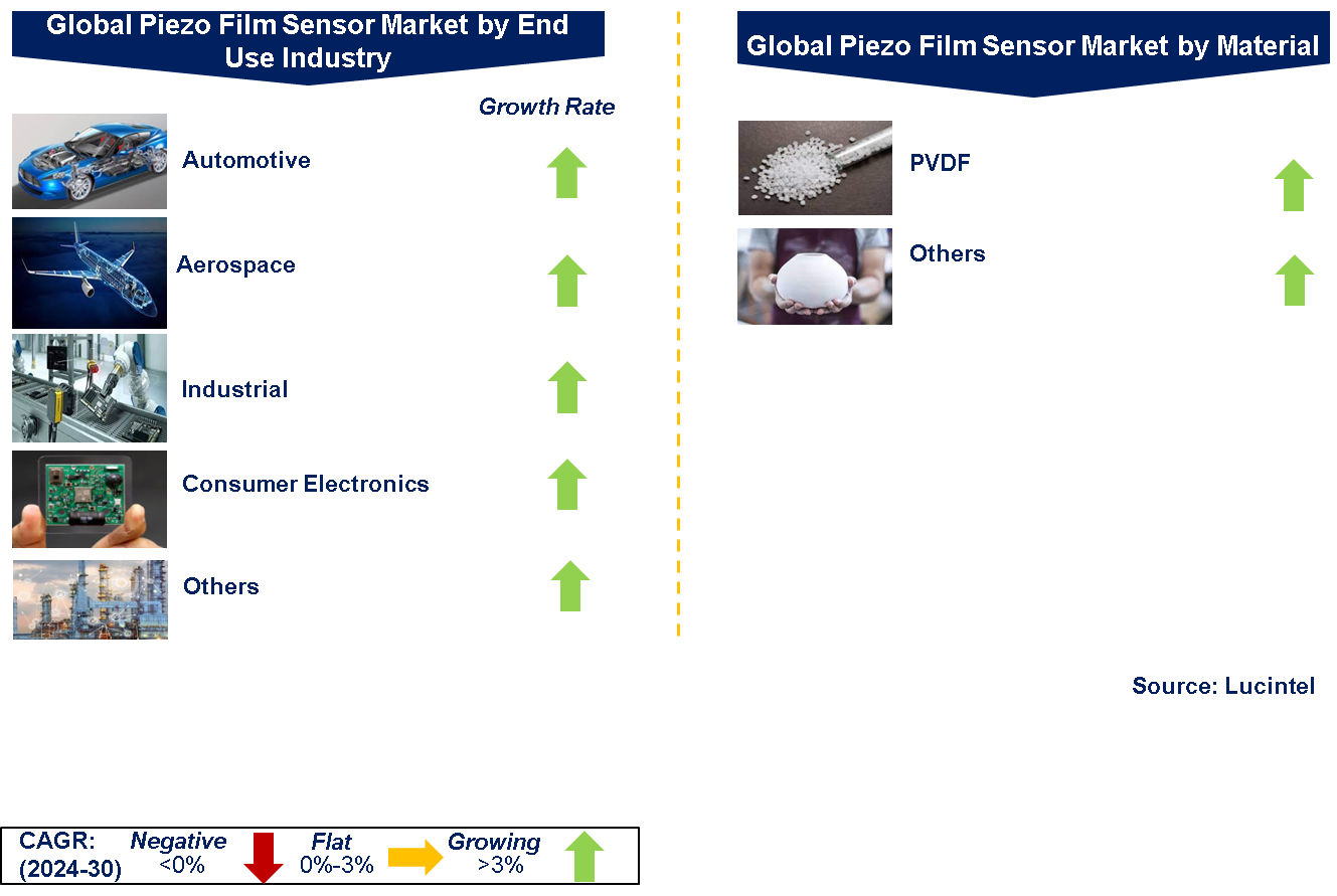 Piezo Film Sensor Market by Segment